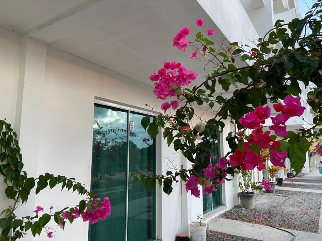 Solar Teixeira Flats Hotel Porto de Galinhas Bagian luar foto