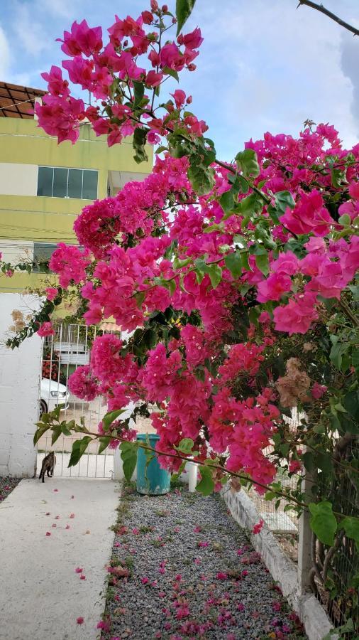Solar Teixeira Flats Hotel Porto de Galinhas Bagian luar foto