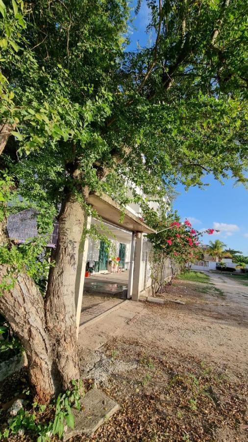 Solar Teixeira Flats Hotel Porto de Galinhas Bagian luar foto